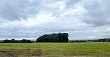 Walking from Troon to Dundonald along the Smugler&rsquo;s Trail and returning by the same route on a mostly dry day but with a breeze. Ideal. A new walk leader which is great!!!