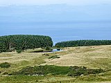 A superb walk today on varied terrain with a few fences to cross to keep us entertained. Some young, inquisitive, cattle were well handled by the farmers amongst us. Great day, great weather and great company. A couple of new/returning faces we hope to see again