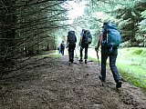A superb walk today on varied terrain with a few fences to cross to keep us entertained. Some young, inquisitive, cattle were well handled by the farmers amongst us. Great day, great weather and great company. A couple of new/returning faces we hope to see again