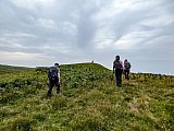 A superb walk today on varied terrain with a few fences to cross to keep us entertained. Some young, inquisitive, cattle were well handled by the farmers amongst us. Great day, great weather and great company. A couple of new/returning faces we hope to see again