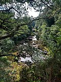 A perfectly lovely day for walking from New Lanark along the River Clyde and viewing the fabulous falls. A bit less water, given the dry spell, but beautiful nonetheless 