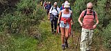 Our annual bus outing took 53 walkers to Melrose. This lovely walk was led by Leen and Marty. Thank you both 